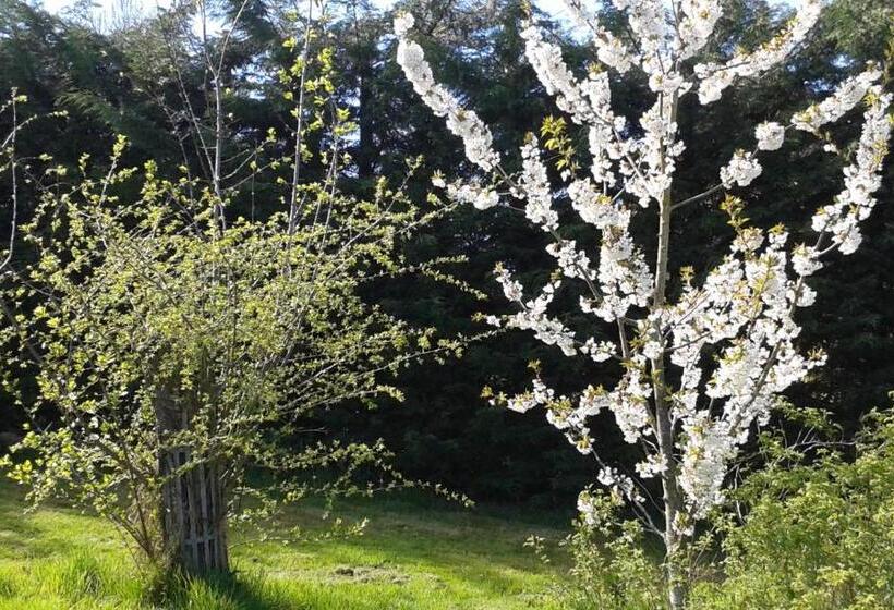 ベッドアンドブレックファースト Chambres D Hôtes Entre Deux Rives