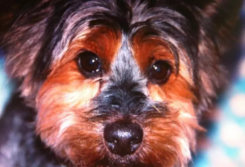 ベッドアンドブレックファースト Chambres D Hôtes Et Gîte Chez Martine