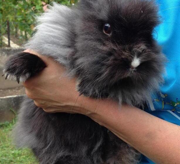 تختخواب و صبحانه Chambres D Hôtes Et Gîte Chez Martine