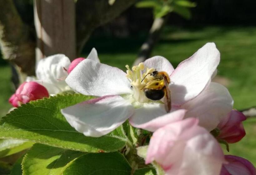 Bed and Breakfast Clos Charmille
