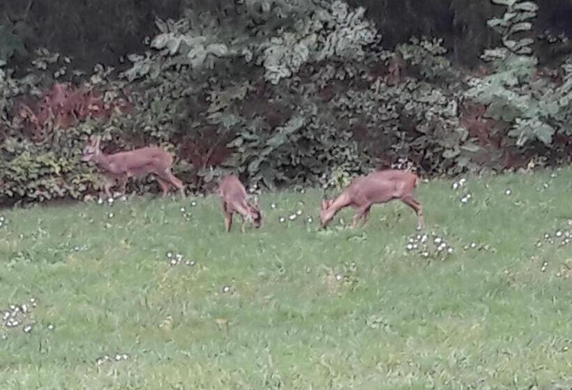 Bed and Breakfast Clos Charmille