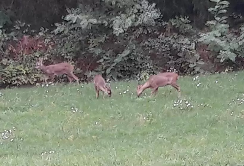 ベッドアンドブレックファースト Clos Charmille