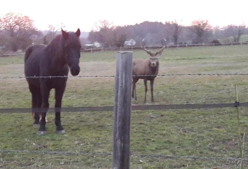Bed and Breakfast Clos Charmille