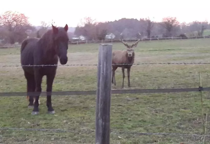 ベッドアンドブレックファースト Clos Charmille