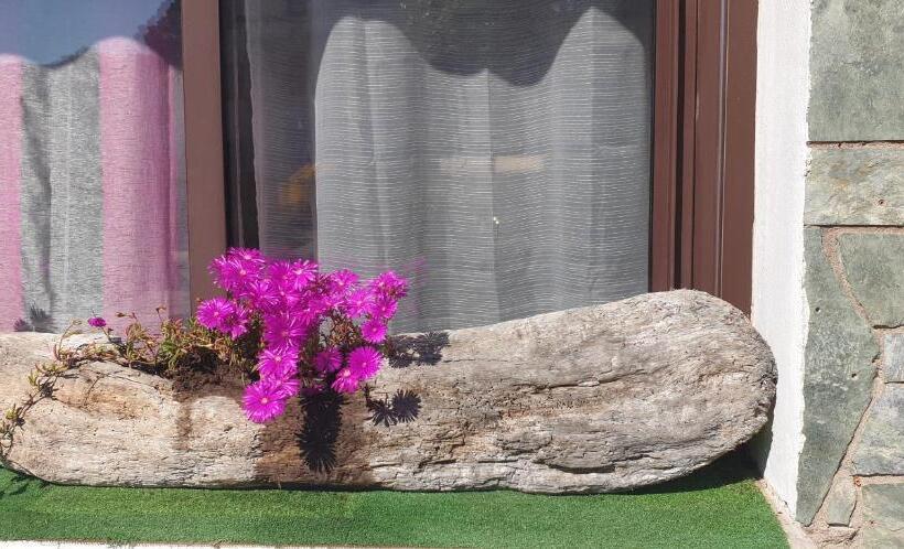 تختخواب و صبحانه L Auberge Galeria