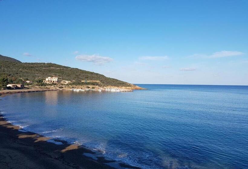 تختخواب و صبحانه L Auberge Galeria