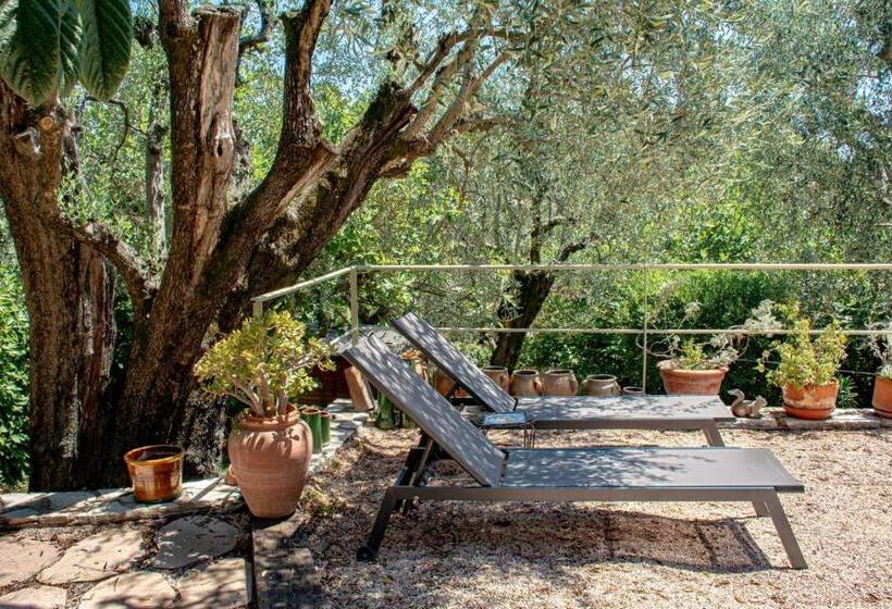 민박 Le Clos Des Oliviers