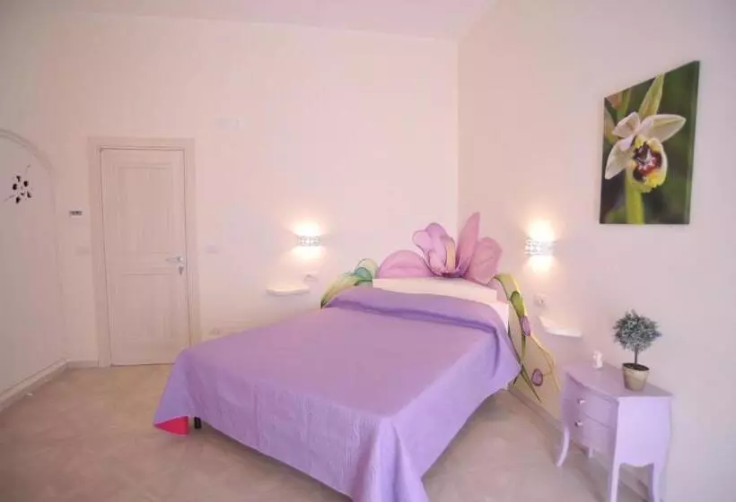 Aamiaismajoitus (B&B) Merydamy