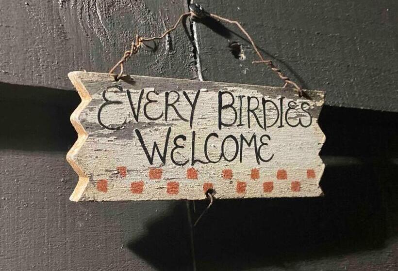 Hoh   Hazel S Homestead