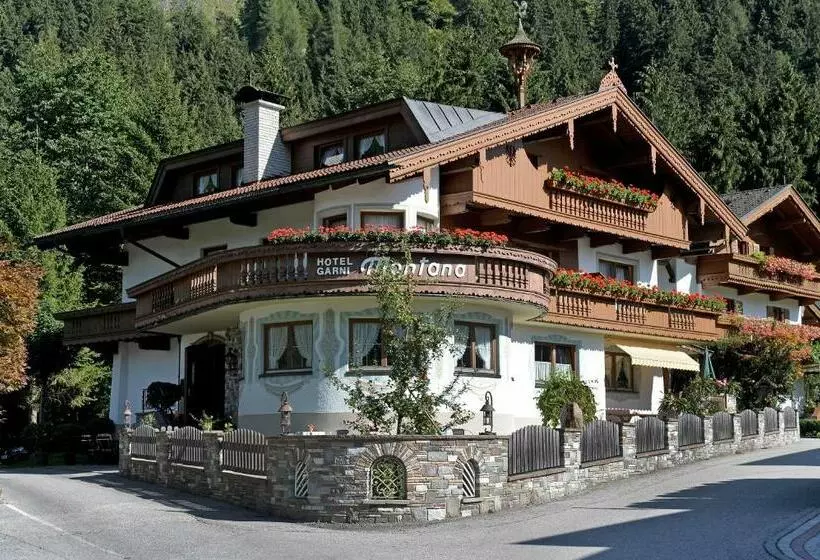 هتل Montana Apartments