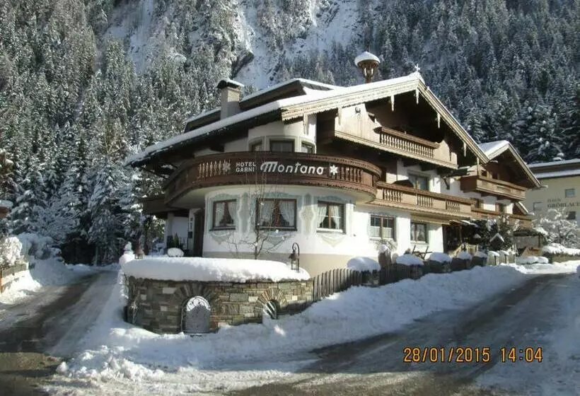 هتل Montana Apartments