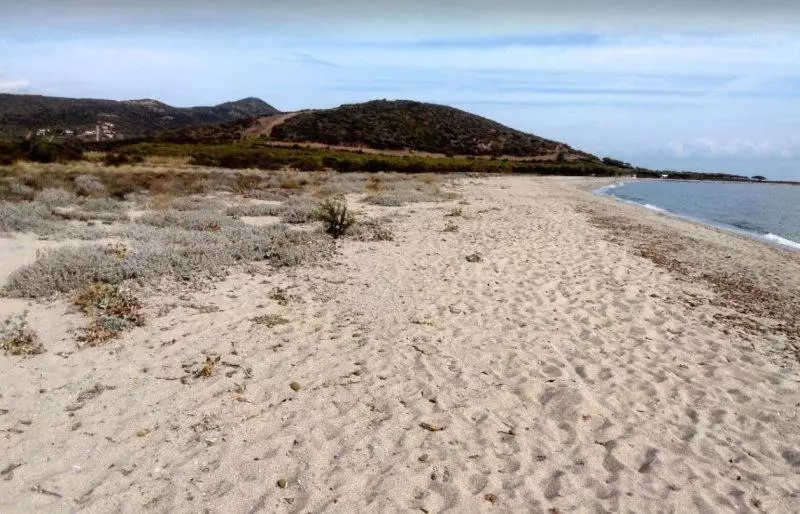 Il Gelsomino