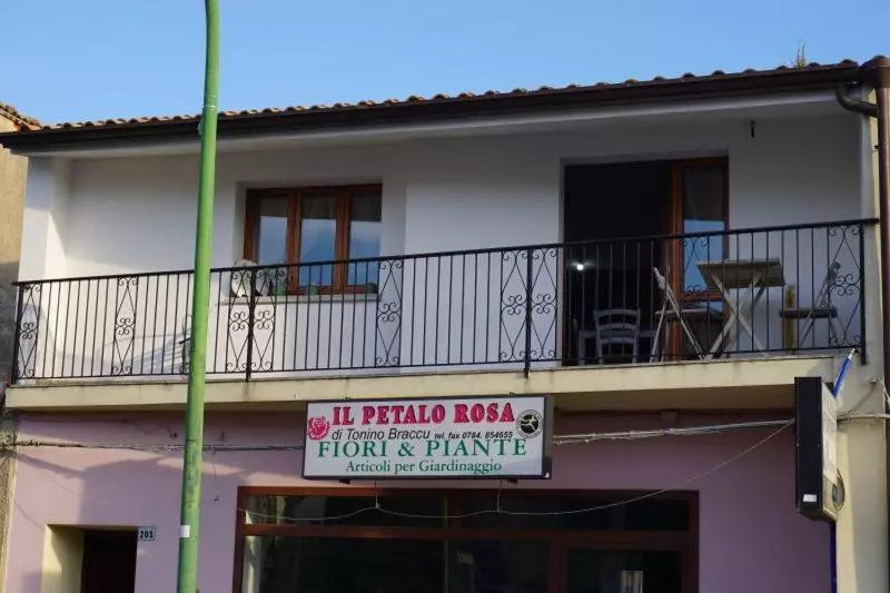 Il Gelsomino