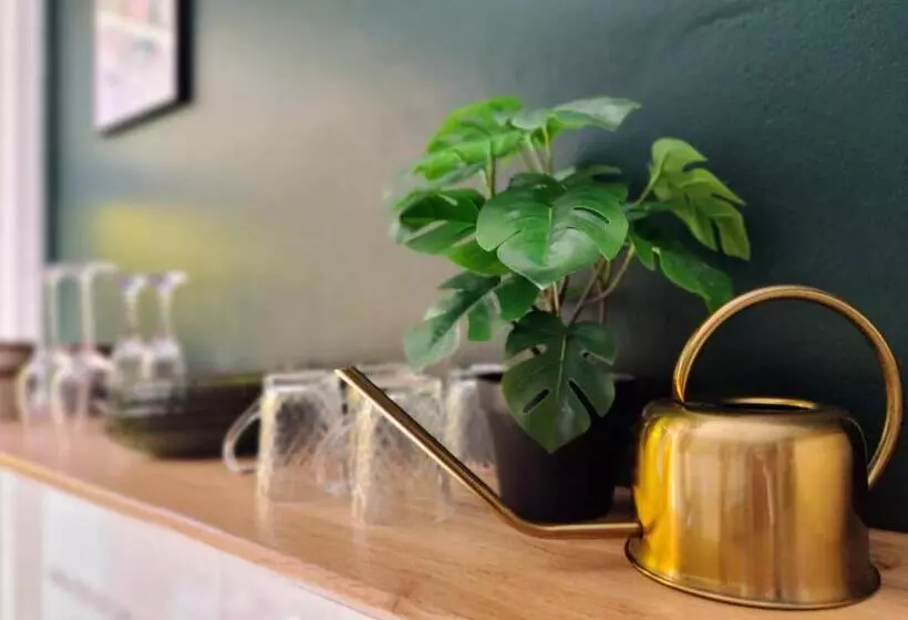 Le Rainbow   Grand Studio Avec Terrasse