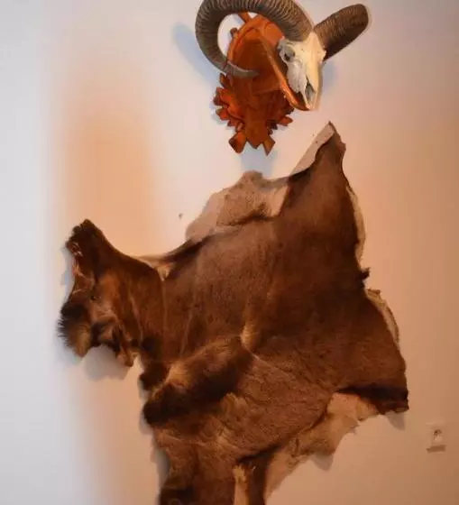 Majatalo Penzion Gerle