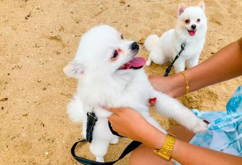 استراحتگاه Margarita Beach