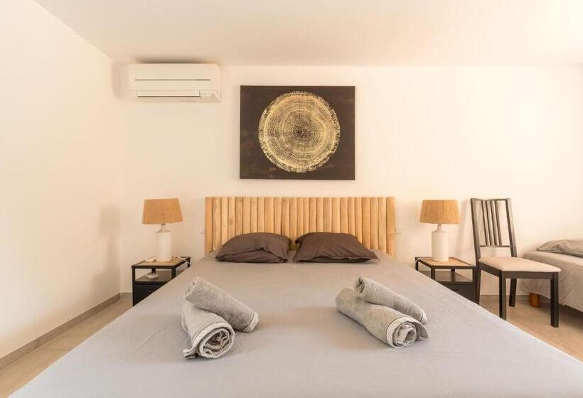 Villa Vue Mer Presqu Ile De Giens Avec Piscine