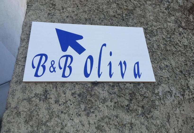 B&b Oliva