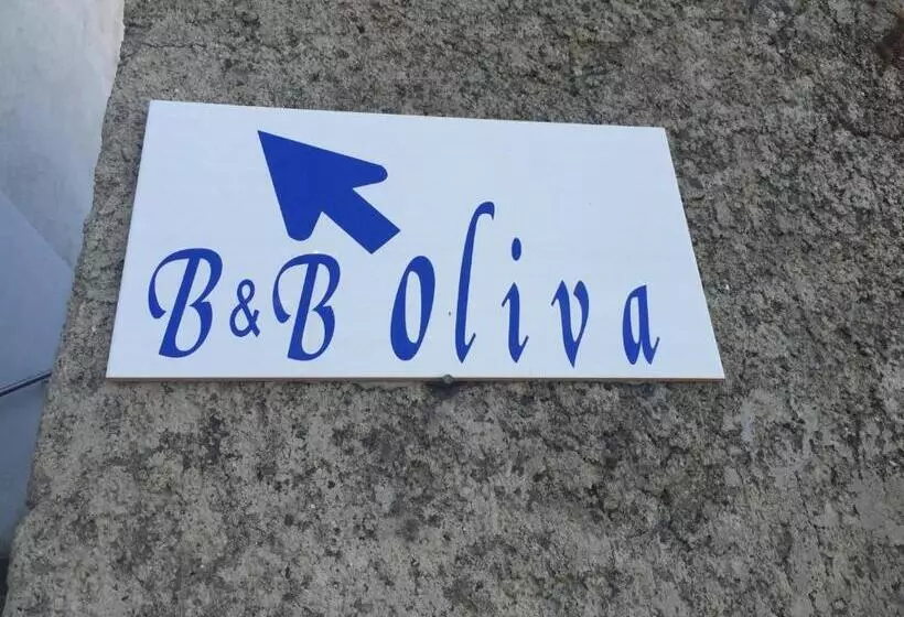 B&b Oliva