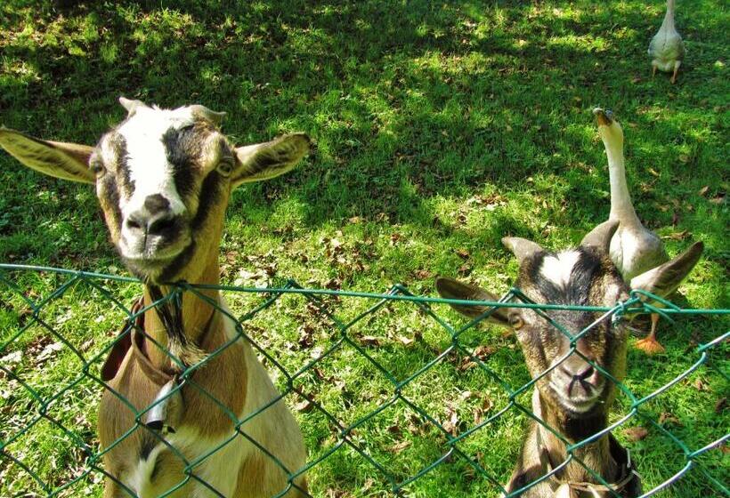 B&b Sopra Il Portico