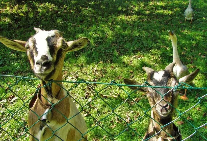 B&b Sopra Il Portico