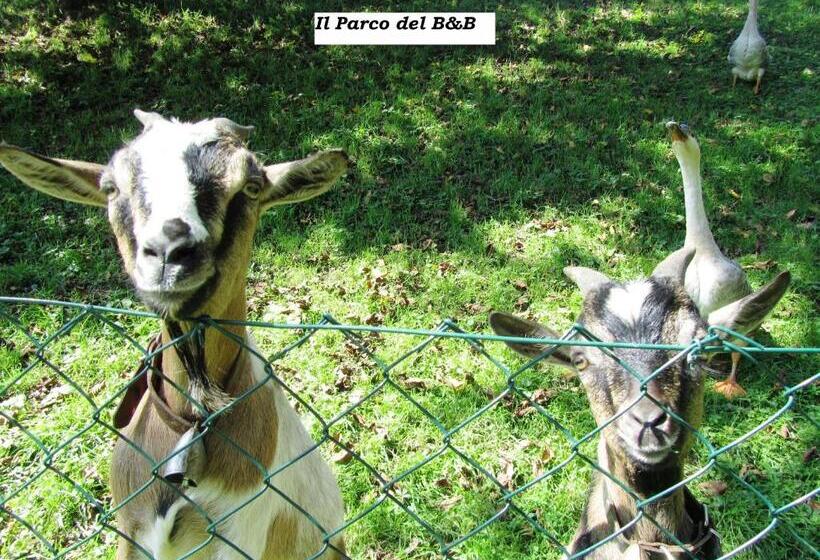 B&b Sopra Il Portico