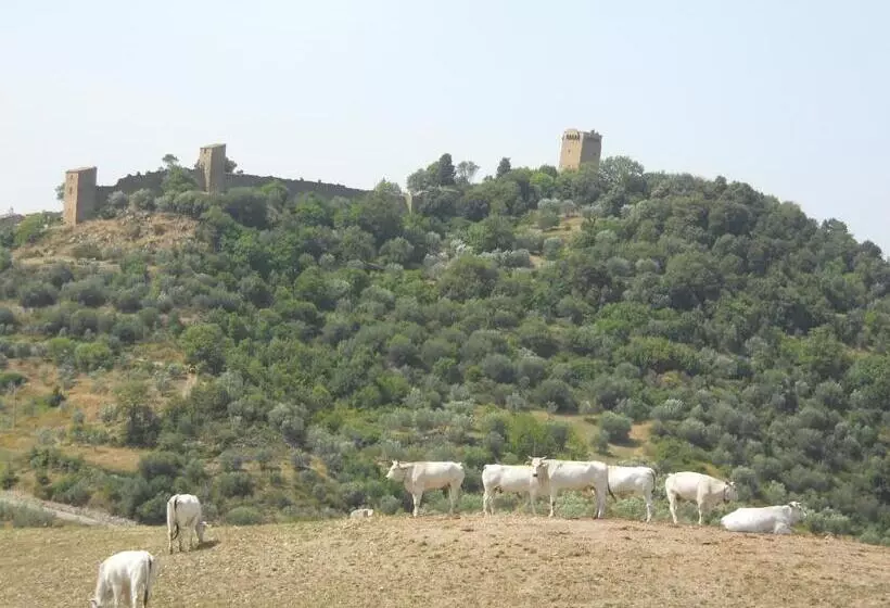 ホテル Agriturismo Collosodo