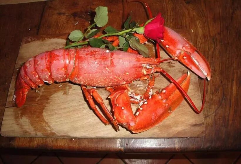 Le Buzet Bleu Bed & Breakfast