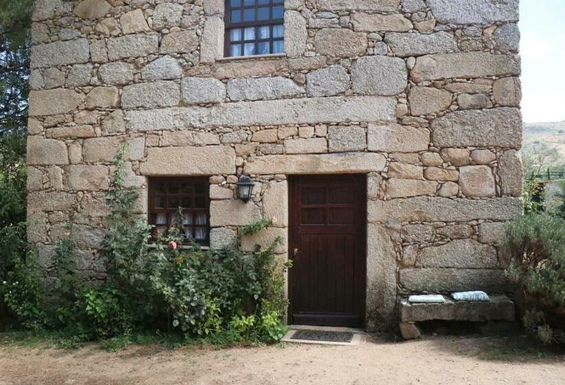 پانسیون Agro Turismo Quinta Do Pinheiro