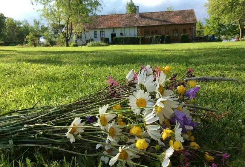 Majatalo Cseri Porta