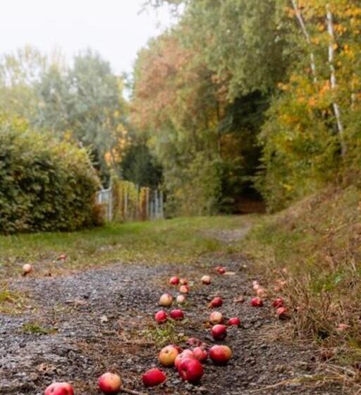 Пансион Gästehaus Ranftl
