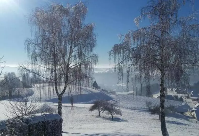 ペンション Gästehaus Ranftl