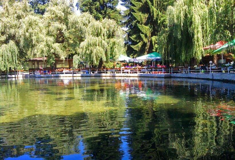 펜션 Guest House Radoychevi