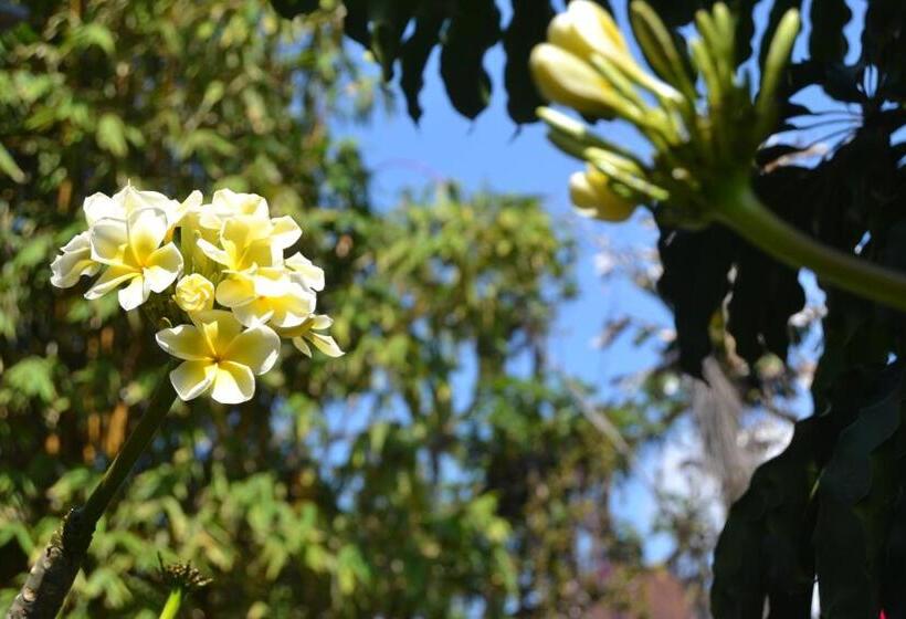 פנסיון Sakha House