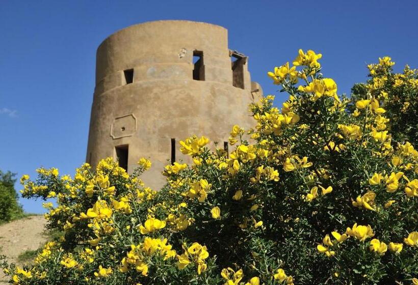 Stella Maris   Abba Urci