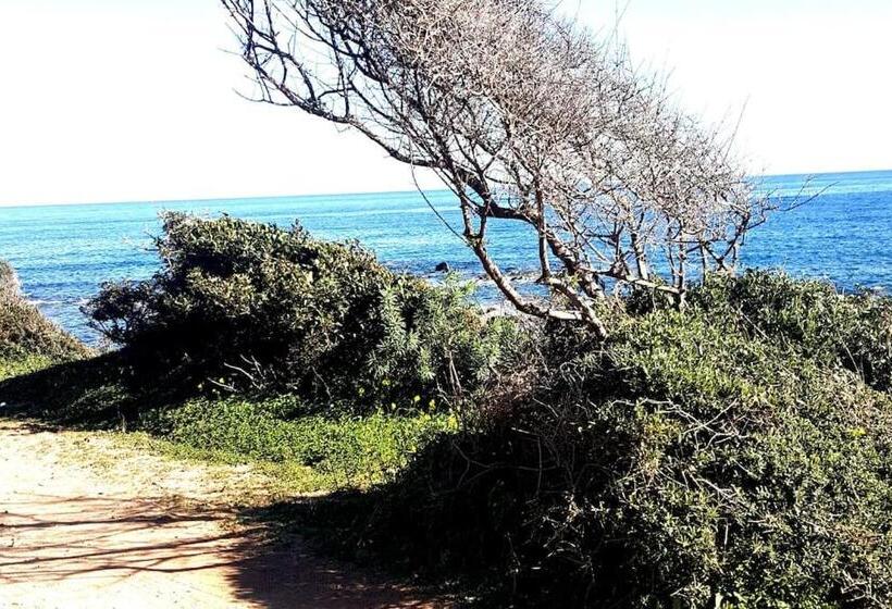 Stella Maris   Abba Urci