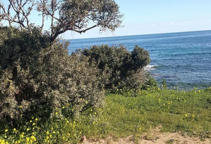 Stella Maris   Abba Urci