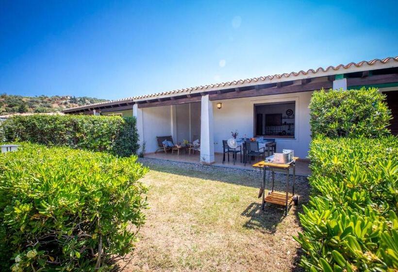 Stella Maris   Abba Urci