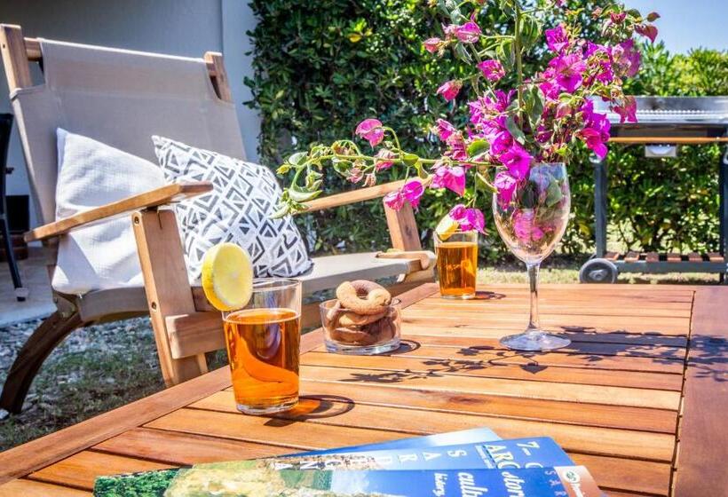 Stella Maris   Abba Urci