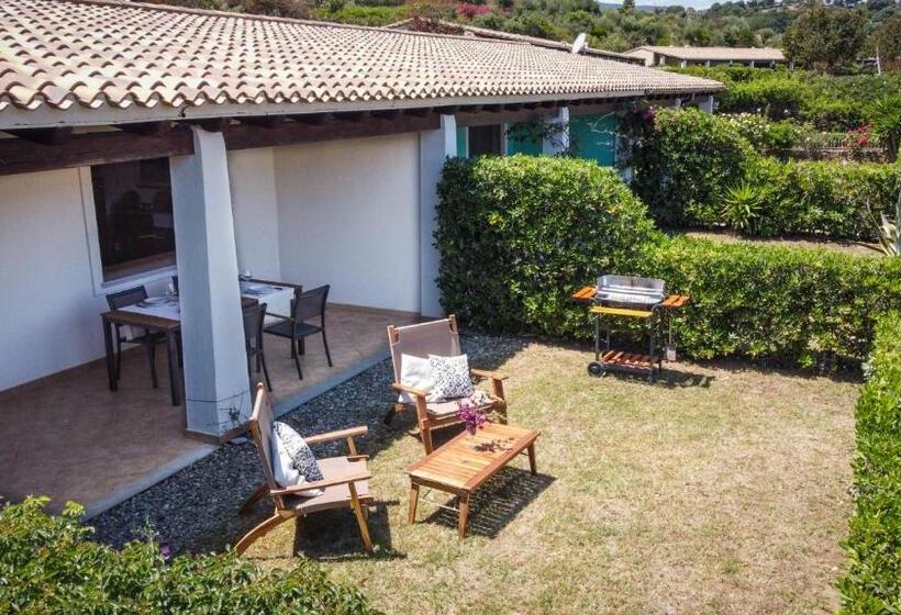 Stella Maris   Abba Urci