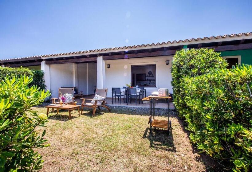 Stella Maris   Abba Urci