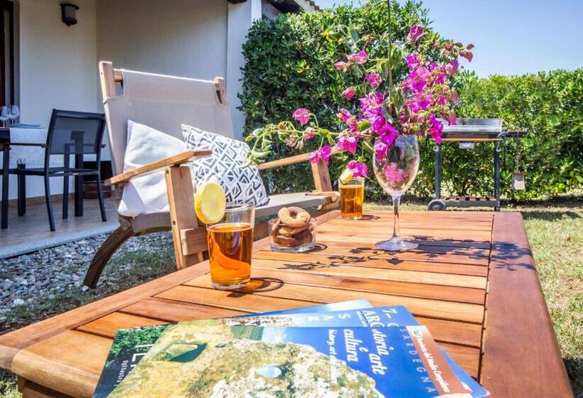 Stella Maris   Abba Urci