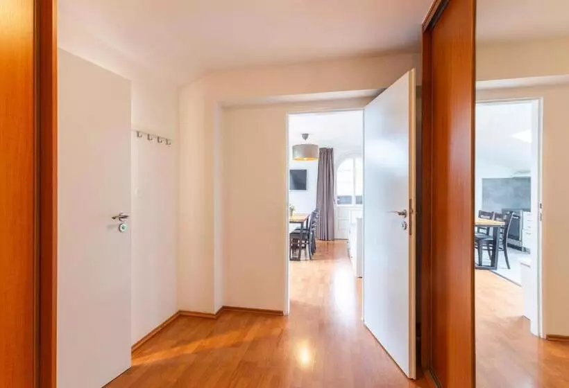 Wellness Pension Fulda černý Důl