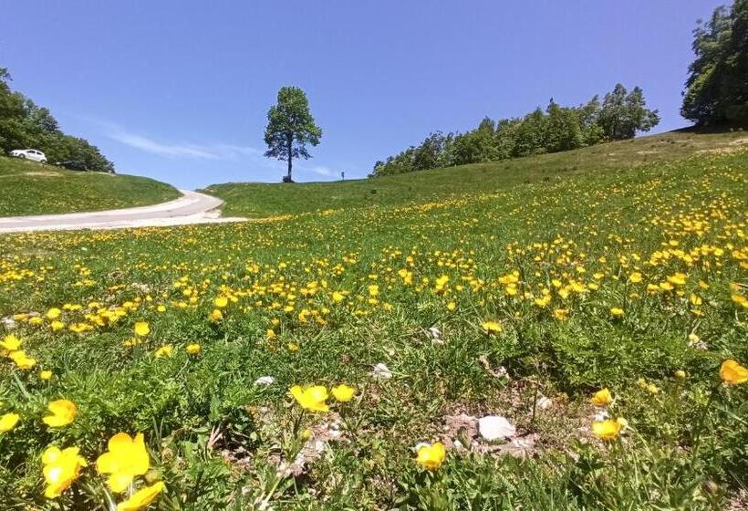 Attico Stella Alpina