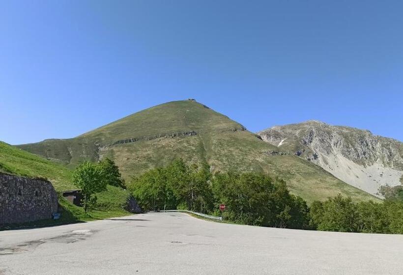 Attico Stella Alpina