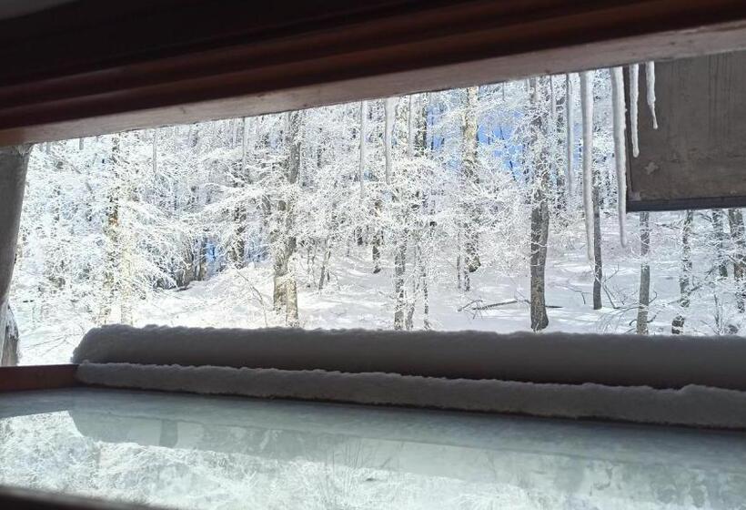 Attico Stella Alpina