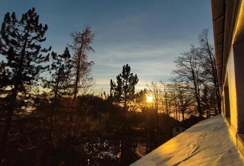 Attico Stella Alpina