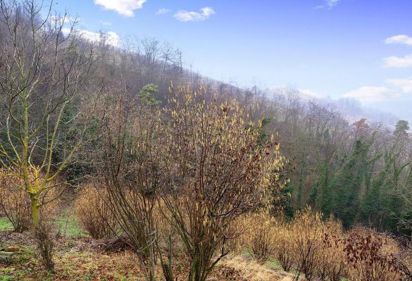 Casa Vacanze Il Ginepro