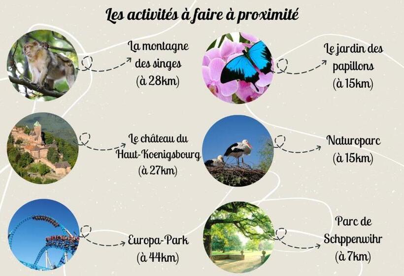 Le Rosacker   Proche Centre Ville Et Gare   Terrasse   Parking Gratuit 2 Places   2 Chambres   2 Sal