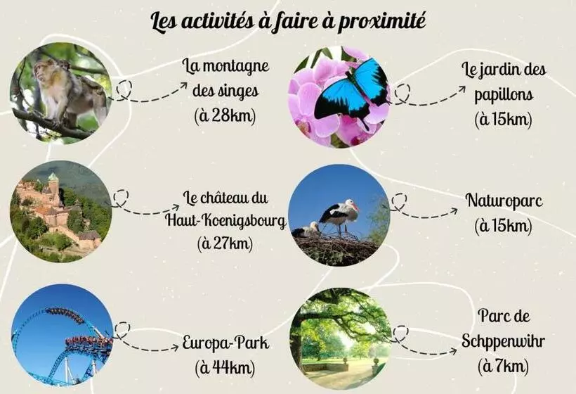 Le Rosacker   Proche Centre Ville Et Gare   Terrasse   Parking Gratuit 2 Places   2 Chambres   2 Sal